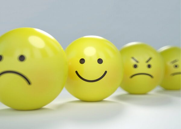 FREE Picture Cards - Image 5